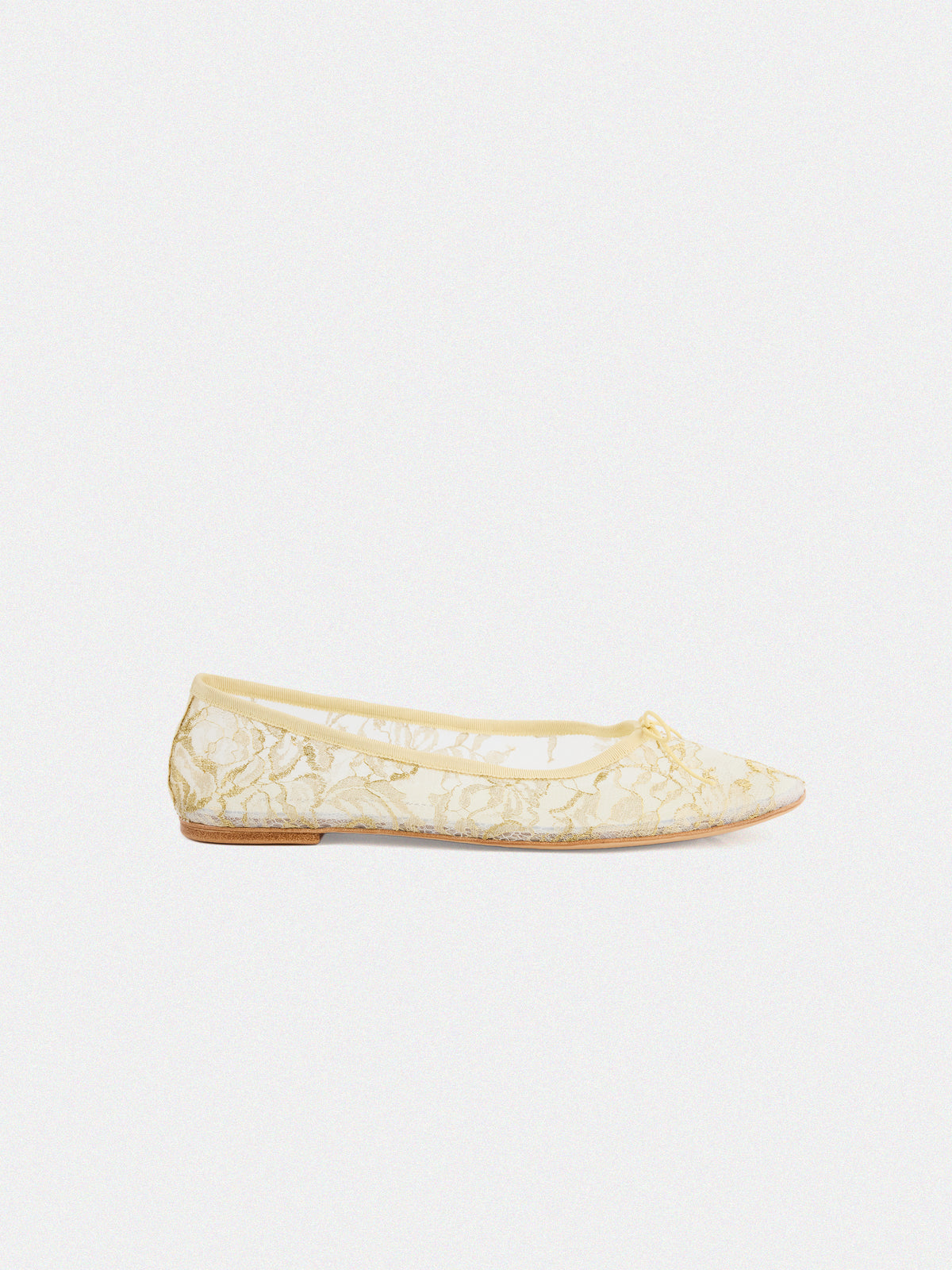 Claire Lace Osmanthus