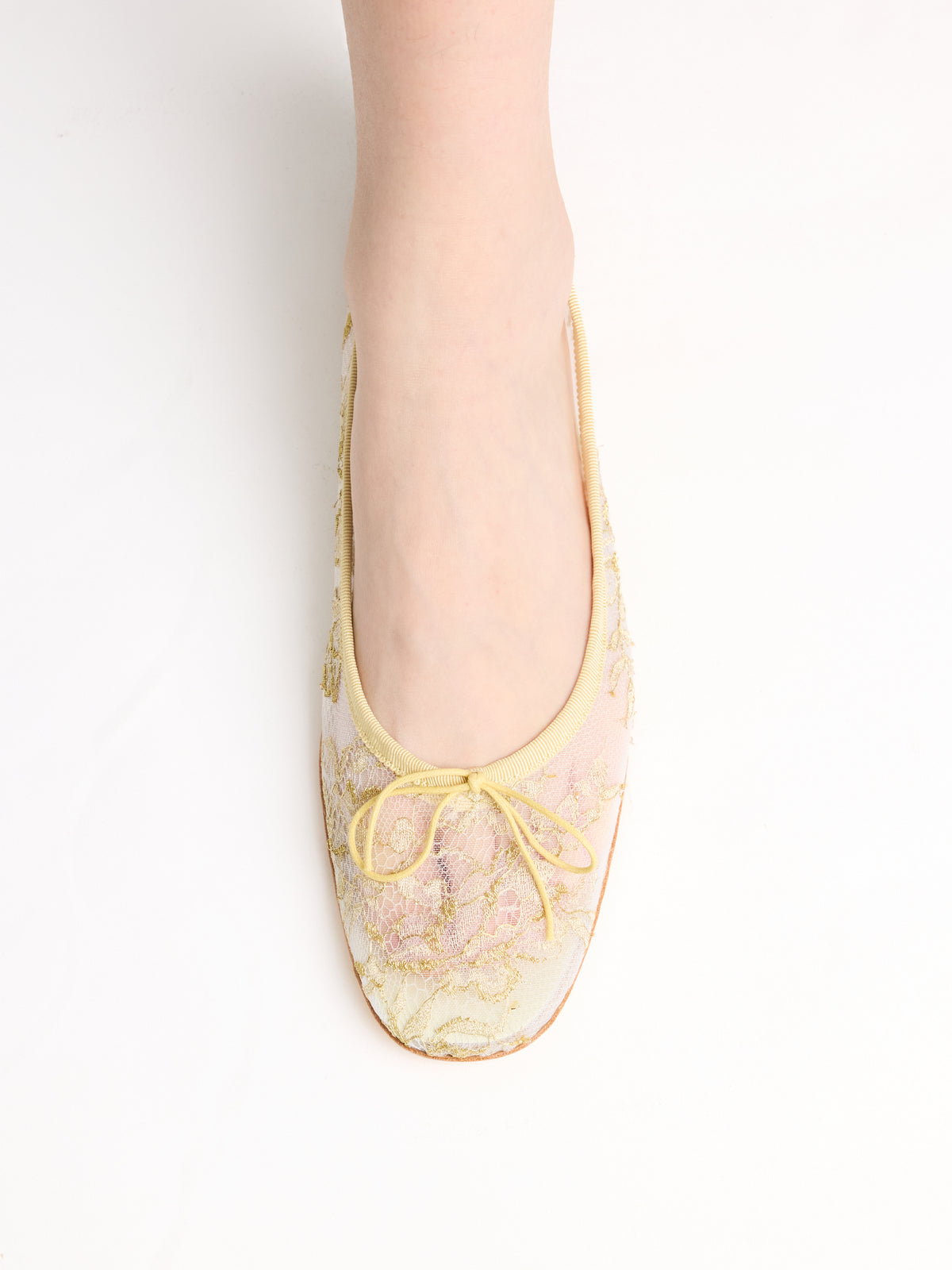 Claire Lace Osmanthus